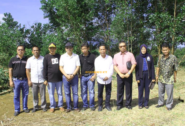 Bupati Tinjau  Lokasi Pembangunan Kantor Bank KALTIMTARA